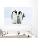 Bird Murals - Emperor penguins on the sea ice in the Weddell Sea, Antarctica Wall Mural