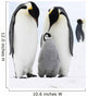 Bird Murals - Emperor penguins on the sea ice in the Weddell Sea, Antarctica Wall Mural