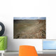 Meteor Crater En Arizona Wall Decal