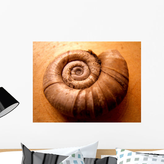 Shell Wall Mural
