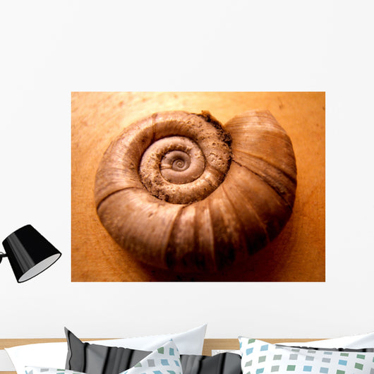 Shell Wall Mural