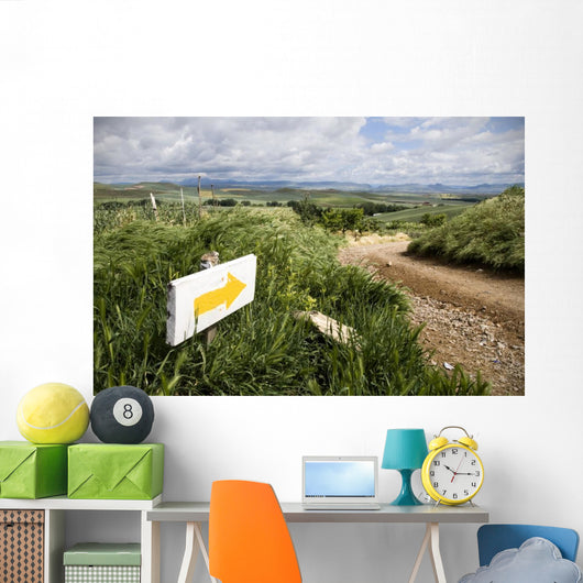 Camino de Santiago in rioja Wall Mural