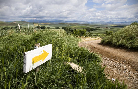 Camino de Santiago in rioja Wall Mural