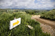 Camino de Santiago in rioja Wall Mural