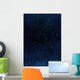 Stars in Space or Night Sky Wall Mural