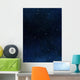 Stars in Space or Night Sky Wall Mural