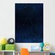 Stars in Space or Night Sky Wall Mural