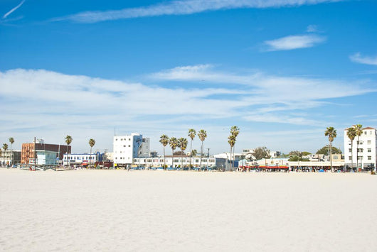 sunny day at venice beach 6 of 7 Wall Mural