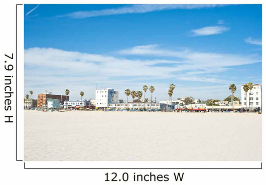 sunny day at venice beach 6 of 7 Wall Mural