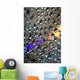 Water Drops