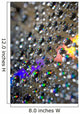 Water Drops