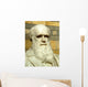 Statue of Charles Darwin Wall Mural