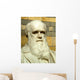 Statue of Charles Darwin Wall Mural