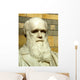 Statue of Charles Darwin Wall Mural