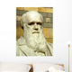 Statue of Charles Darwin Wall Mural