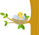 Nest with baby birds Wall Decal