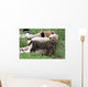 Cheetah Cub Wall Mural