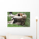 Cheetah Cub Wall Mural