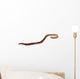Earthworm Wall Decal