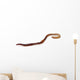 Earthworm Wall Decal