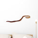 Earthworm Wall Decal