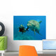 Dolphin with Diver Wall Mural
