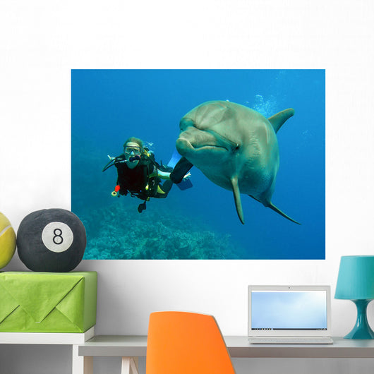 Dolphin with Diver Wall Mural
