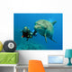 Dolphin with Diver Wall Mural