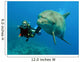 Dolphin with Diver Wall Mural