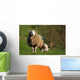 Ewe and Lamb Wall Mural