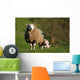 Ewe and Lamb Wall Mural