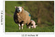 Ewe and Lamb Wall Mural