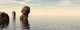 Sea Stones P Wall Decal