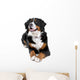 bernese mountain dog Wall Decal