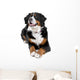 bernese mountain dog Wall Decal