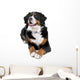 bernese mountain dog Wall Decal