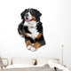 bernese mountain dog Wall Decal
