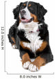 bernese mountain dog Wall Decal
