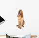 bloodhound dog Wall Decal