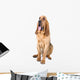 bloodhound dog Wall Decal