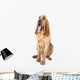 bloodhound dog Wall Decal