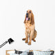 bloodhound dog Wall Decal