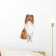 Rough Collie Scottish Shepherd Wall Decal