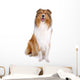 Rough Collie Scottish Shepherd Wall Decal