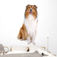 Rough Collie Scottish Shepherd Wall Decal