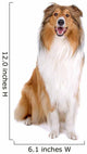 Rough Collie Scottish Shepherd Wall Decal