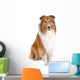 rough collie - scottish shepherd (lassie) Wall Decal