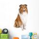 rough collie - scottish shepherd (lassie) Wall Decal