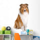 rough collie - scottish shepherd (lassie) Wall Decal