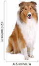 rough collie - scottish shepherd (lassie) Wall Decal